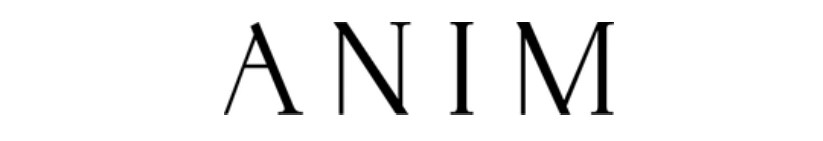 ANIM - Artist at Global Views